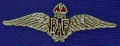 RAF Sweetheart Brooch - Nickel